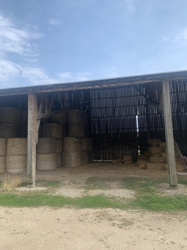 Photo de l'annonce : Places d'hivernage dans hangar couvert