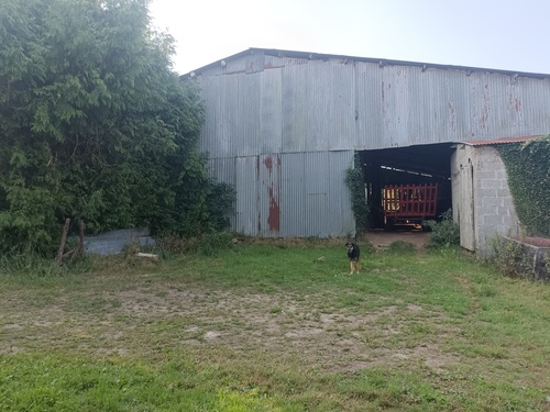 Photo de l'annonce : Places d'hivernage dans hangar couvert