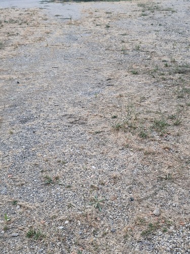 Photo de l'annonce : Places d'hivernage en espace plein air sécurisé