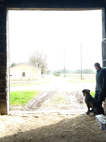 Photo de l'annonce : Place d'hivernage dans hangar fermé 3 cotés
