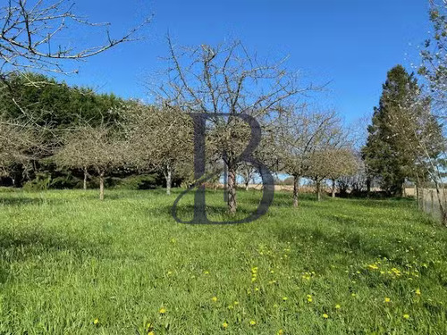 Photo de l'annonce : Places d'hivernage sur terrain plein air sécurisé