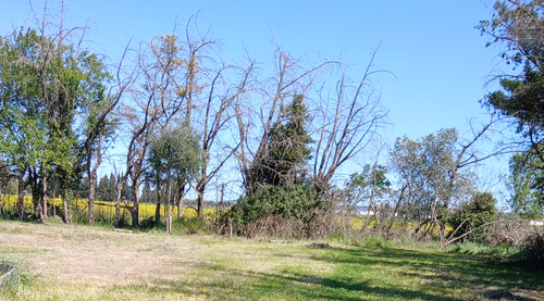 Photo de l'annonce : Places d'hivernage sur terrain plein air sécurisé