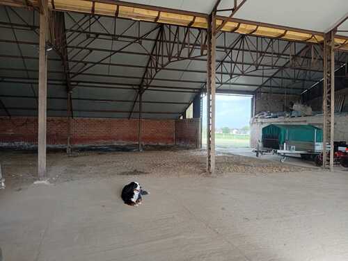 Photo de l'annonce : Places d'hivernage en intérieur dans bâtiment fermé sécurisé