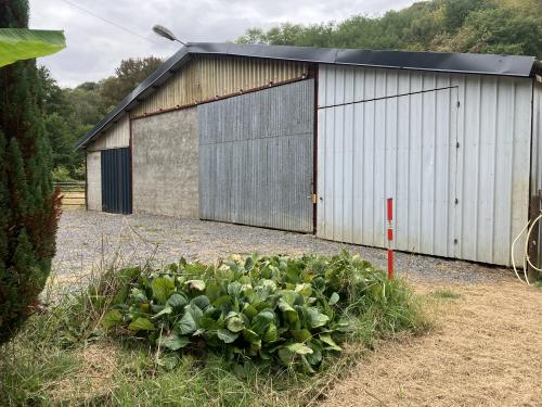 Photo de l'annonce : Espace intérieur avec sol en béton