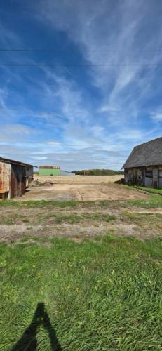 Photo de l'annonce : Espace extérieur plein air avec sol en béton